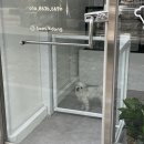 반려동물 수제간식 태식당 이미지