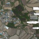 흥각 Daum카페