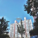 수원-1312 이미지