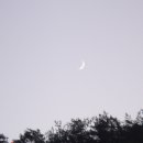 풍기인삼시장 이미지