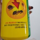 원탑바이오 이미지