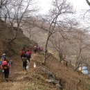 비봉농원 이미지