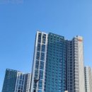 지축중학교 이미지