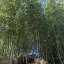 강진-39 | 강진 반값 여행 영랑생가 | 세계모란공원 주차 입장료 정보