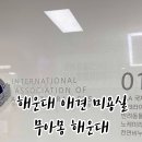 무아몽 해운대 강아지 애견미용 이미지