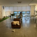 OHT(오해트) 이미지