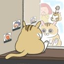 꼬실이 Daum카페
