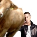 민속원조갈비 이미지