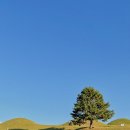 동촌역사로3길 이미지