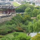 경기도 수원시 팔달구 신풍로23번길 이미지