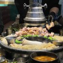 수진농원 이미지