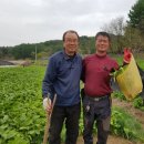 천마총각과 명이처녀 이미지