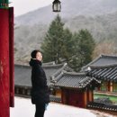 구룡사 | [원주 가볼만한 곳 ]아홉마리 용이 살던 곳 천년사찰 구룡사 방문후기