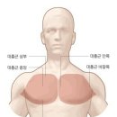 성지스포렉스 이미지