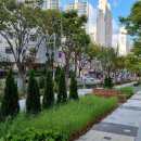 좌동초교 이미지