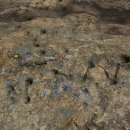 야호캠프 이미지