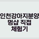 멍샵 이미지