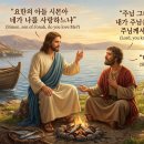 ※ 네가 나를 사랑하느냐 (요21:16) 이미지
