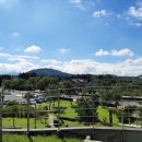 게으른 반달 이미지