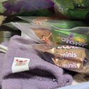 용산-현장-742 이미지