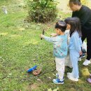 춘천 유치원 숲 체험(88공원) 10.16(월) 이미지