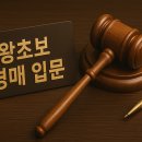왕초보를 위한 부동산 실전 경매 | 👩‍⚖️경매 공부, 어떻게 시작해야 할까? 왕초보를 위한 부동산 경매 입문 가이드