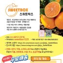 스위트박스 - 김포시 김포한강9로 79 | 스위트박스