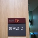 담재한방병원 | 포근담산부인과 유도분만 3박 4일 입원후기