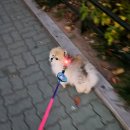 매탄공원 이미지