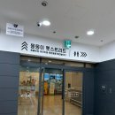 몽몽이펫샵 | 잠실롯데 강아지용품 2곳 가본후기(루이독 잠실 , 몽몽이펫샵) 몽몽이 펫스트리트