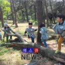 풀빛공원 유아숲체험원 이미지