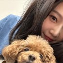 조이(Joy) 이미지