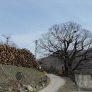 주막식당 이미지