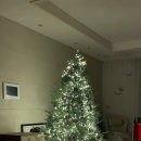 조아트 플라워 이미지