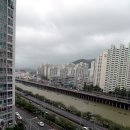 수영강시민공원 이미지
