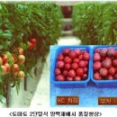 저단15 이미지