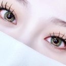 샤니래쉬