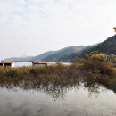 충북괴산 문광저수지- 청남대 국화꽃축제 이미지