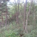 거마천로 이미지