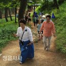 도리화 이미지