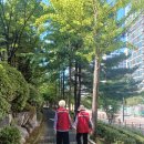 새말경로당 이미지