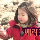 생포탄 네이버블로그