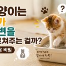 비밀