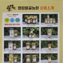 덕상1리 이미지