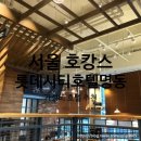 세븐일레븐종로2가점 | [ 롯데시티 호텔 명동 호캉스 ] 가성비 좋은 더블룸 추천 후기