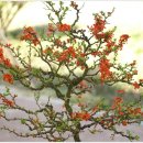 이원농장 이미지