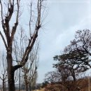 용산-328 이미지