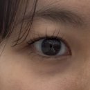 달무리 | 신부동속눈썹펌 잘하는 곳 찾는다면? 대학생의 천안 달무리래쉬 솔직후기