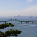 음지교 - 1387 | 음지교