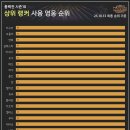 메타펫 주식회사 이미지